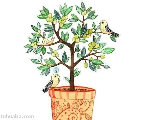 加拿大艺术家Afsaneh Tajvidi笔下的水彩小动物，画风清新