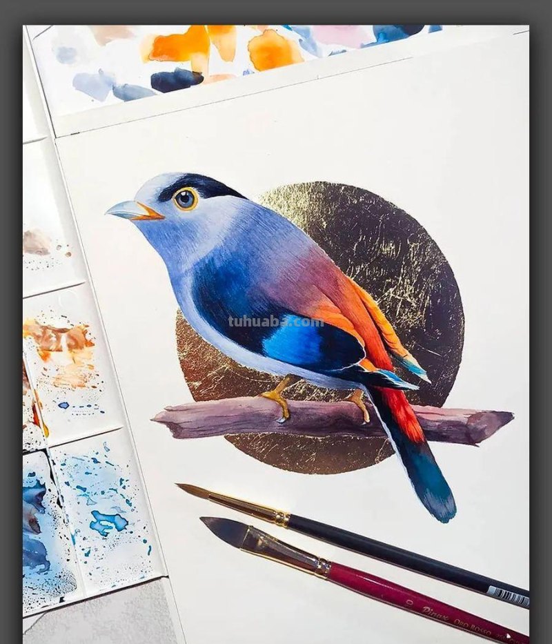 绘画|清新动人的色彩太美了,这组漂亮的水彩画是学习的好素材 绘画|清新动人的色彩太美了,这组漂亮的水彩画是学习的好素材