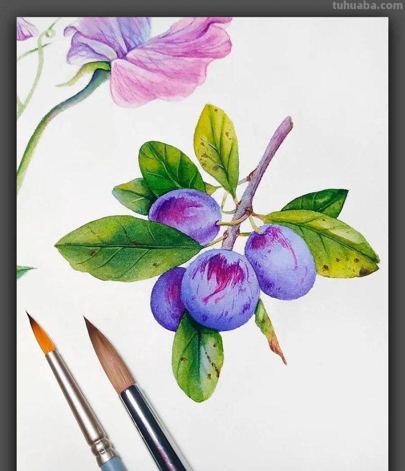 绘画|清新动人的色彩太美了,这组漂亮的水彩画是学习的好素材 绘画|清新动人的色彩太美了,这组漂亮的水彩画是学习的好素材