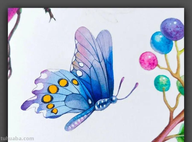 绘画|清新动人的色彩太美了,这组漂亮的水彩画是学习的好素材 绘画|清新动人的色彩太美了,这组漂亮的水彩画是学习的好素材