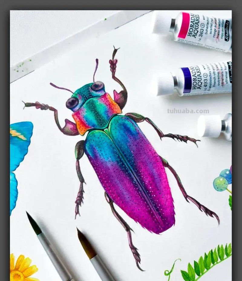 绘画|清新动人的色彩太美了,这组漂亮的水彩画是学习的好素材 绘画|清新动人的色彩太美了,这组漂亮的水彩画是学习的好素材