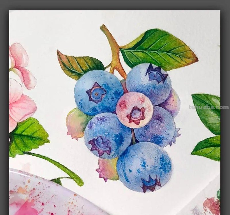 绘画|清新动人的色彩太美了,这组漂亮的水彩画是学习的好素材 绘画|清新动人的色彩太美了,这组漂亮的水彩画是学习的好素材