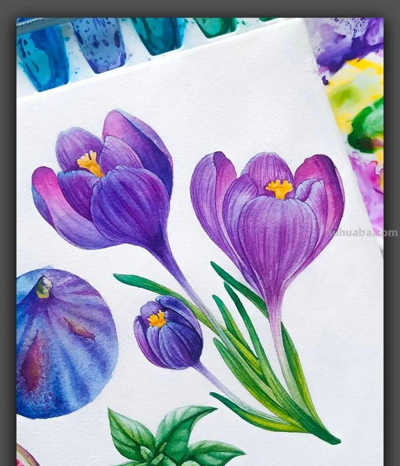 绘画|清新动人的色彩太美了,这组漂亮的水彩画是学习的好素材 绘画|清新动人的色彩太美了,这组漂亮的水彩画是学习的好素材