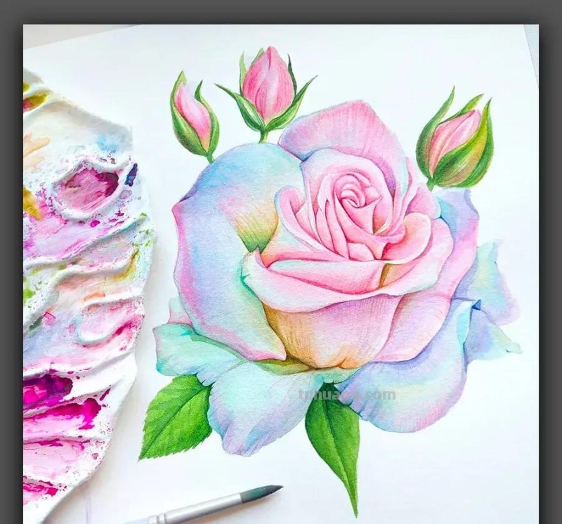 绘画|清新动人的色彩太美了,这组漂亮的水彩画是学习的好素材 绘画|清新动人的色彩太美了,这组漂亮的水彩画是学习的好素材