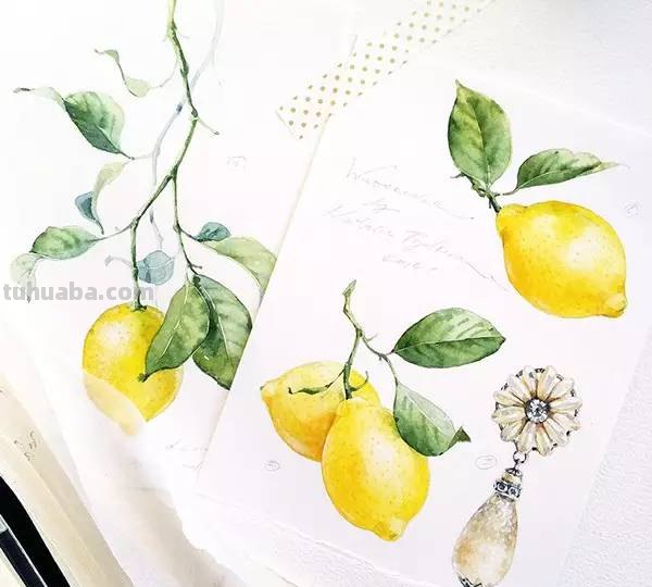 这些水彩插画，干净细腻，太美了