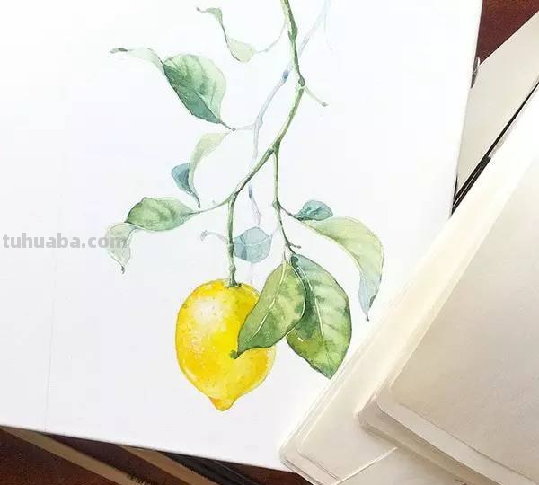 这些水彩插画，干净细腻，太美了