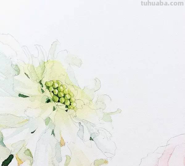 这些水彩插画，干净细腻，太美了