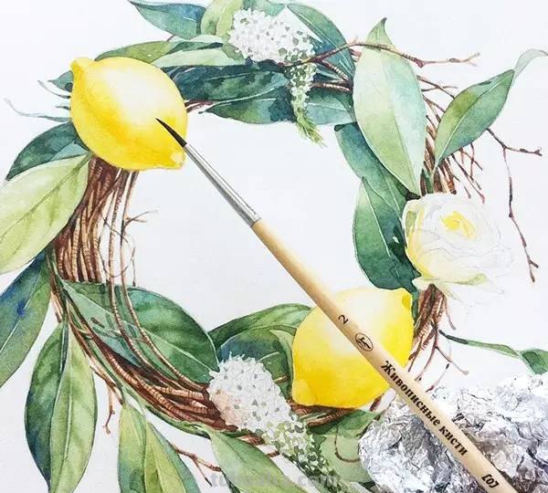 这些水彩插画，干净细腻，太美了