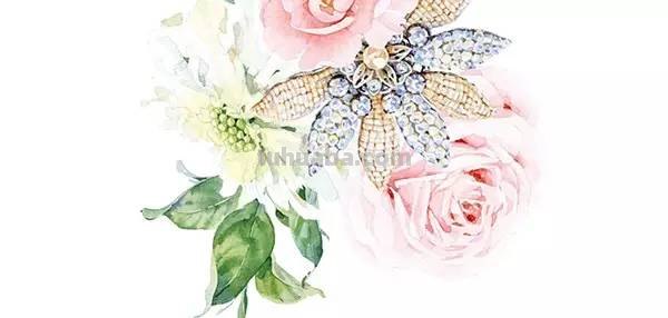 这些水彩插画，干净细腻，太美了