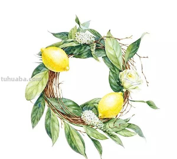 这些水彩插画，干净细腻，太美了