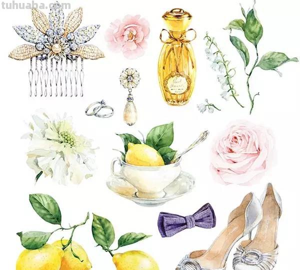 这些水彩插画，干净细腻，太美了