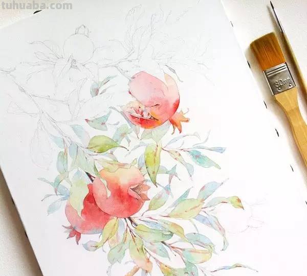 这些水彩插画，干净细腻，太美了