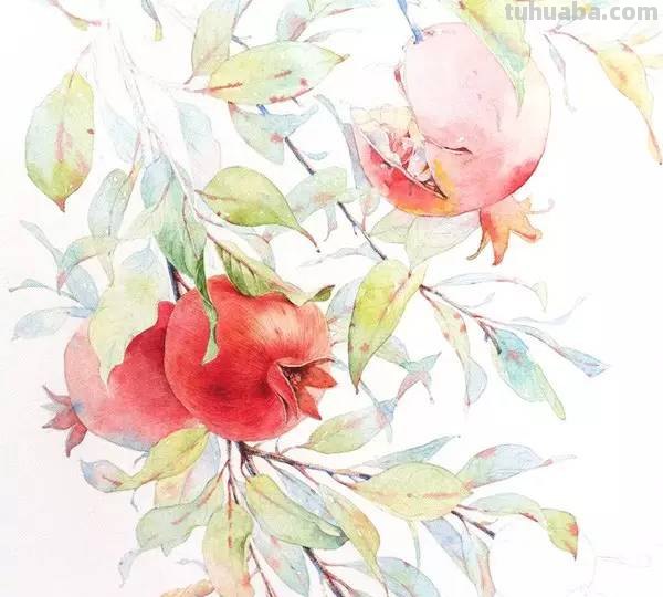 这些水彩插画，干净细腻，太美了