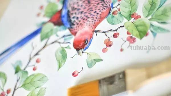 这些水彩插画，干净细腻，太美了