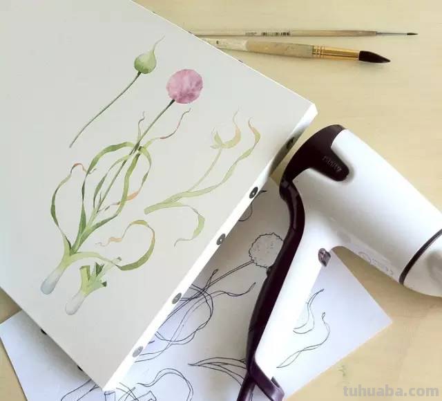 这些水彩插画，干净细腻，太美了