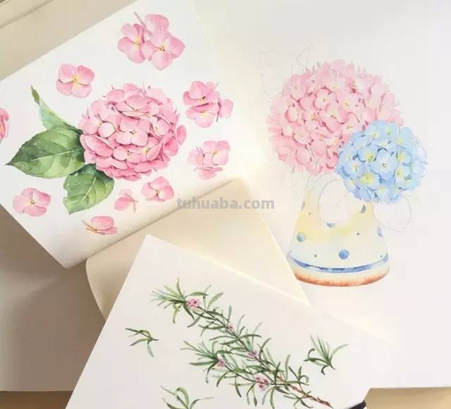 这些水彩插画，干净细腻，太美了