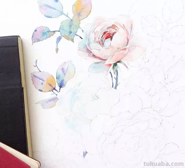 这些水彩插画，干净细腻，太美了