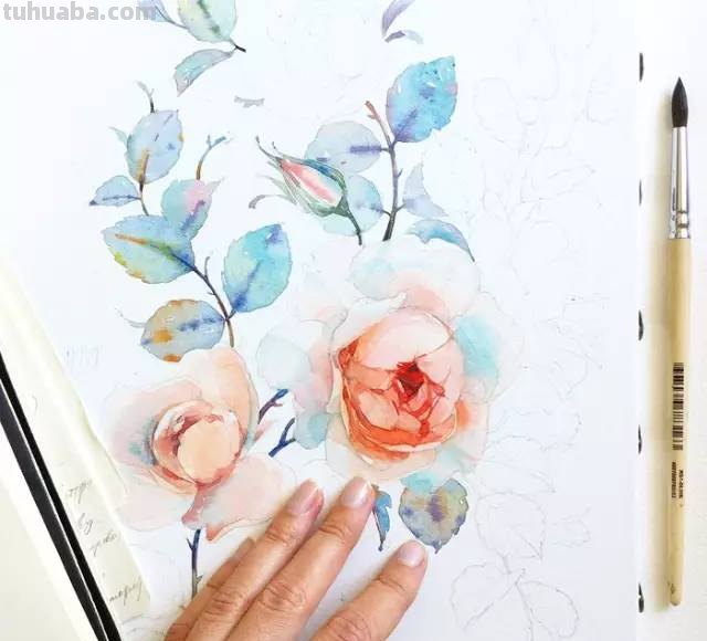 这些水彩插画，干净细腻，太美了