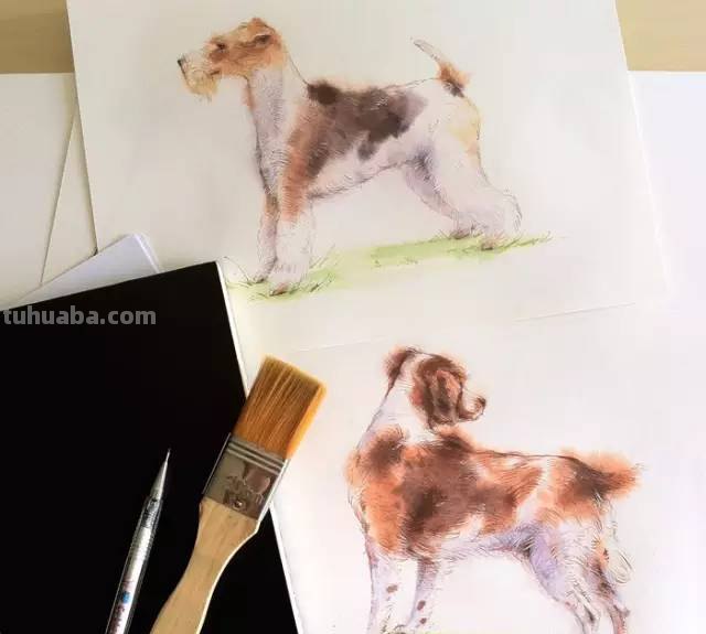 这些水彩插画，干净细腻，太美了