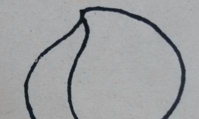 简笔画桃子怎么画（简笔画桃子怎么画视频）