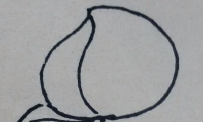 简笔画桃子怎么画（简笔画桃子怎么画视频）