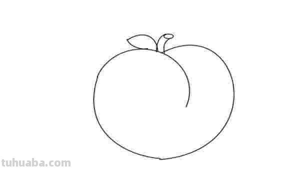 简笔画桃子怎么画（简笔画桃子怎么画视频）