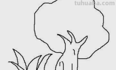 瓜藤怎么画简笔画 藤蔓怎么画？