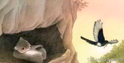 寒号鸟这篇童话告诉我们什么道理