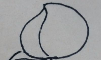 桃子怎么画 简笔画 幼儿手工简笔画桃子画法？