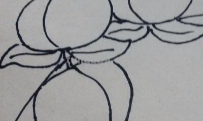 桃子怎么画 简笔画 幼儿手工简笔画桃子画法？