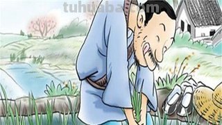 拔苗助长告诉我们什么道理