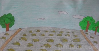 拔苗助长告诉我们什么道理