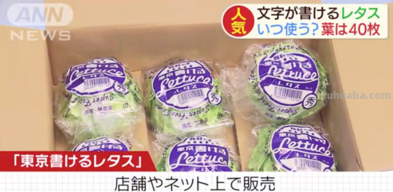 生菜记事本,芥末水彩笔,文具界的大变身!生活如此有趣精彩 生菜记事本,芥末水彩笔,文具界的大变身!生活如此有趣精彩