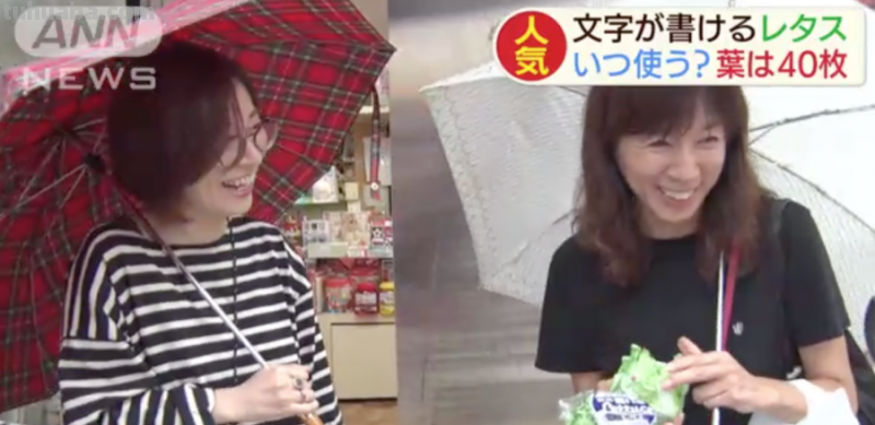 生菜记事本,芥末水彩笔,文具界的大变身!生活如此有趣精彩 生菜记事本,芥末水彩笔,文具界的大变身!生活如此有趣精彩