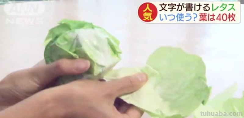 生菜记事本,芥末水彩笔,文具界的大变身!生活如此有趣精彩 生菜记事本,芥末水彩笔,文具界的大变身!生活如此有趣精彩