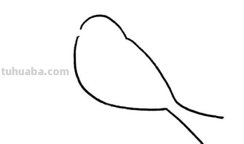 小鸟的简笔画怎么画