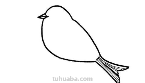 小鸟的简笔画怎么画