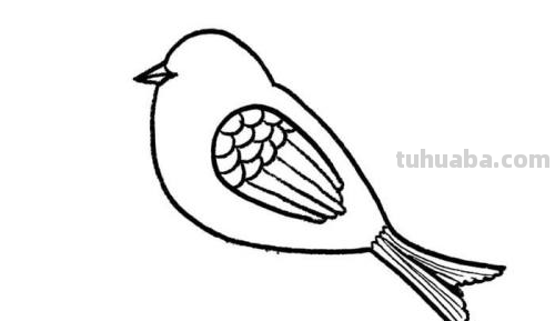 小鸟的简笔画怎么画