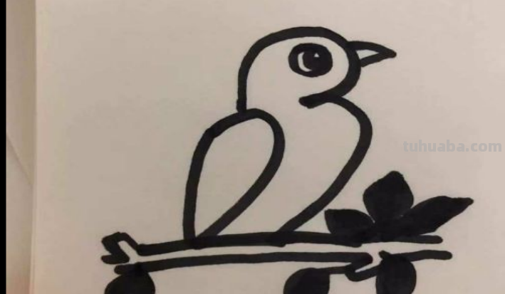 怎么画简笔画小鸟