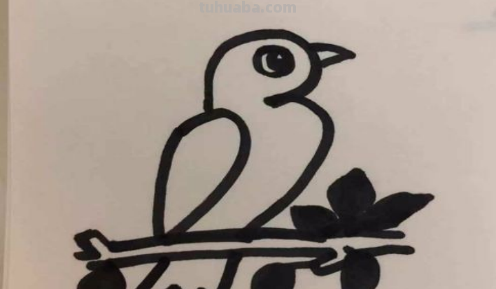 怎么画简笔画小鸟