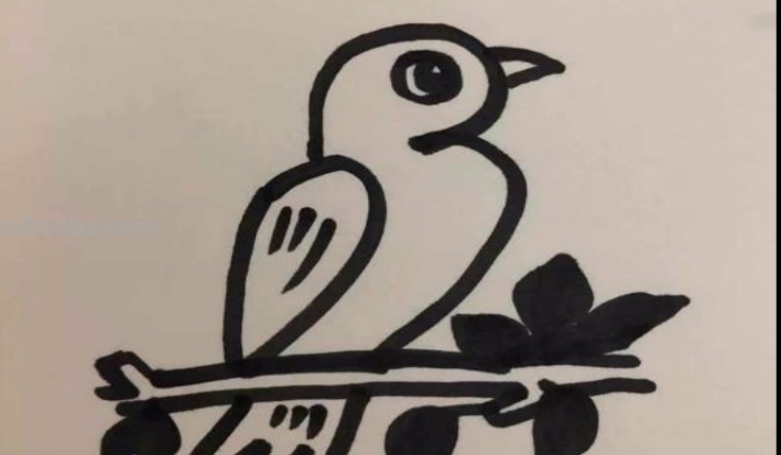 怎么画简笔画小鸟