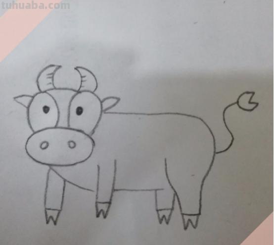 小牛怎么画简笔画 儿童简笔画（11）牛的画法？