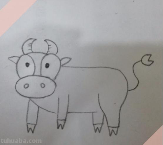小牛怎么画简笔画 儿童简笔画（11）牛的画法？