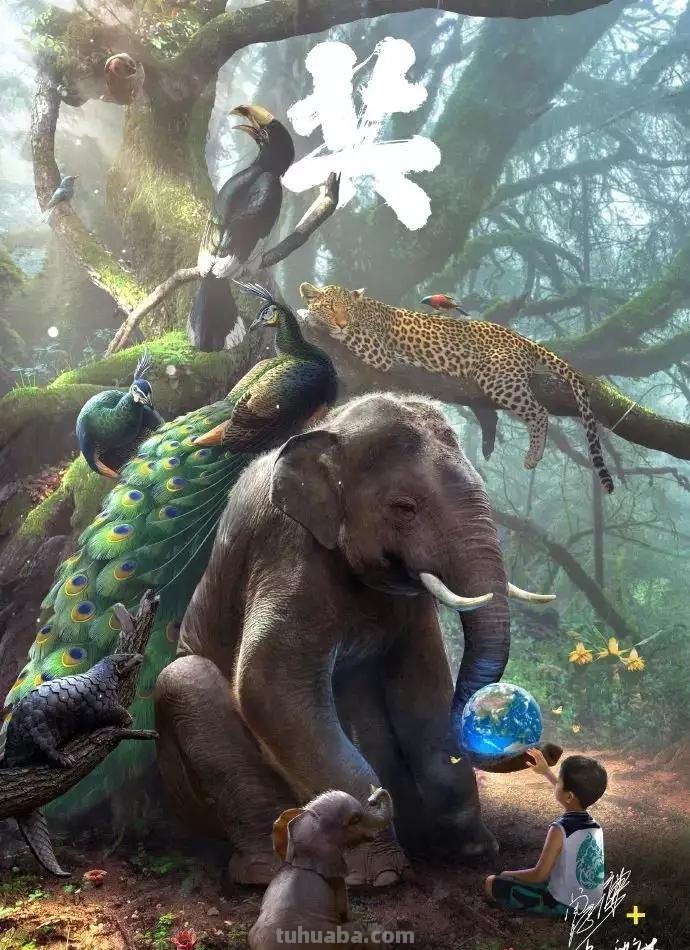 为灭绝的生物留痕！带大家认识曾孝濂老师，他的画，可以把人美哭