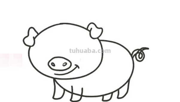 如何画可爱的小猪