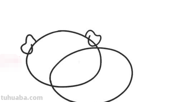 如何画可爱的小猪