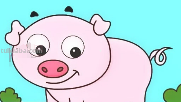 如何画可爱的小猪