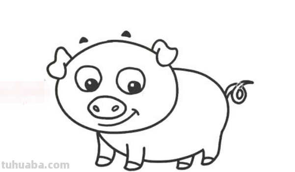 如何画可爱的小猪