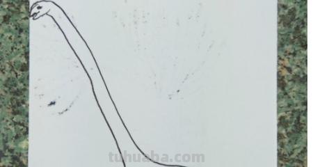 龙怎么画简笔画 简笔画-如何画龙头的简笔画? 龙怎么画简笔画 简笔画-如何画龙头的简笔画?