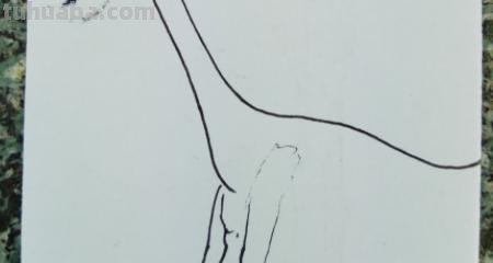龙怎么画简笔画 简笔画-如何画龙头的简笔画? 龙怎么画简笔画 简笔画-如何画龙头的简笔画?